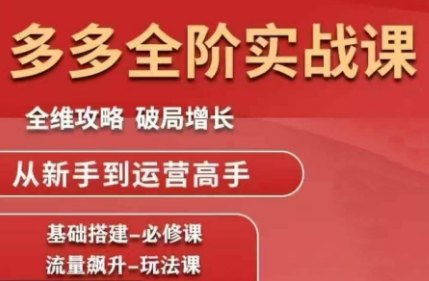 大炮·拼多多全阶实战课程(更新10月)-福源网