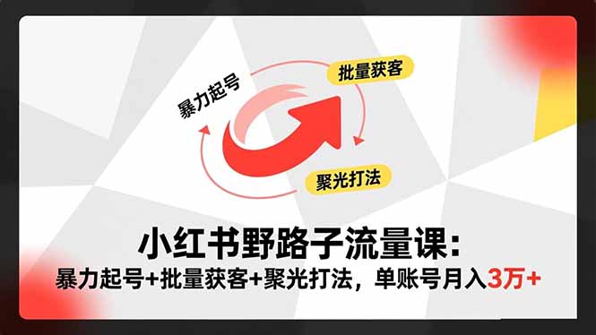 小红书野路子流量课:暴力起号+批量获客+聚光打法,单账号月入3万+-福源网