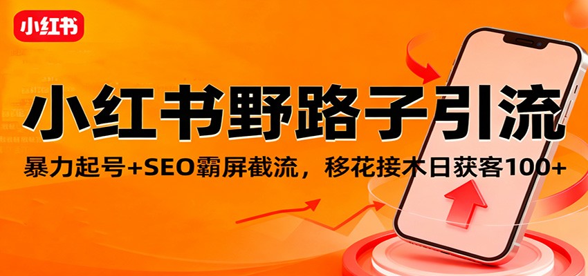 小红书野路子引流，暴力起号+SEO霸屏截流，移花接木日获客100+-福源网