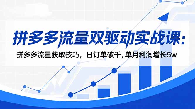 拼多多流量双驱动实战课：拼多多流量获取技巧，日订单破千,单月利润增长5w-福源网