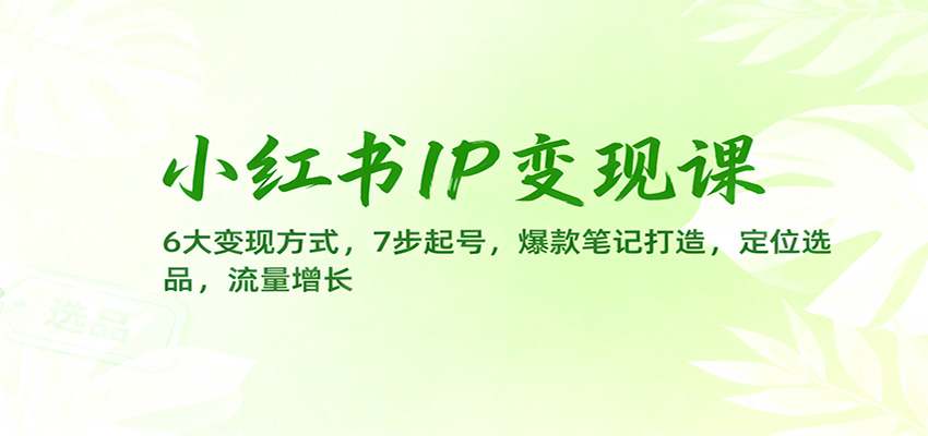 小红书IP变现课：6大变现方式，7步起号，爆款笔记打造，定位选品，流量增长-福源网